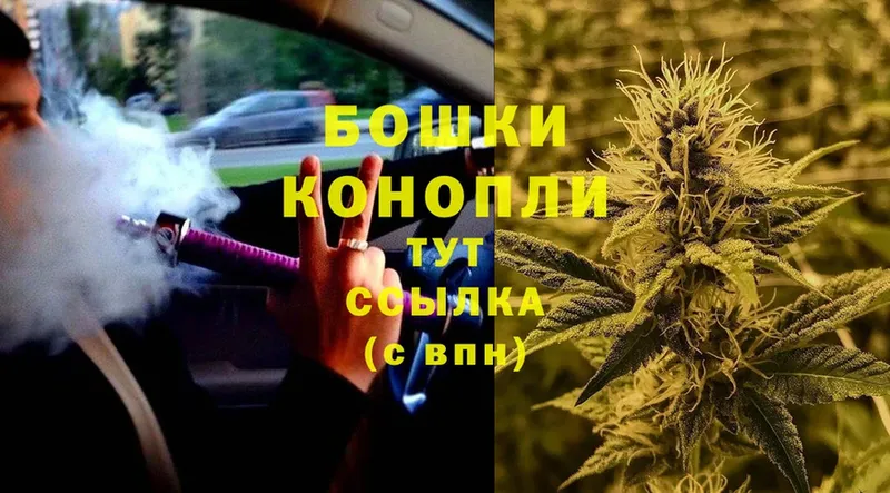 Шишки марихуана OG Kush  Ростов 